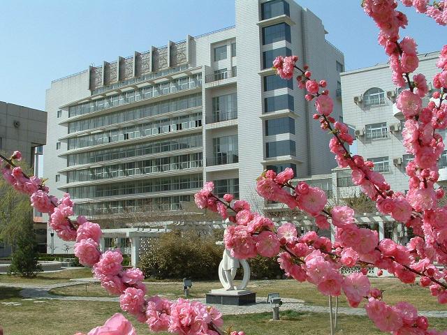 男人女人操逼大片